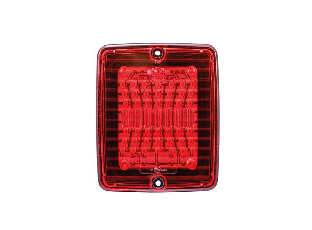 IZE LED BAKLYSLYS LED Strands Lighting Division 