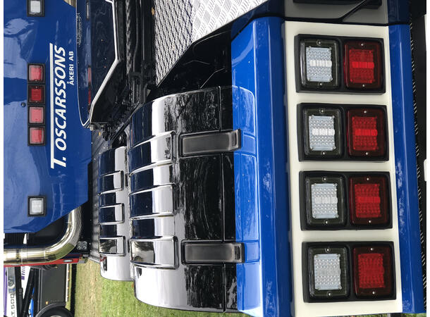 IZE LED BAKLYSLYS LED Strands Lighting Division 