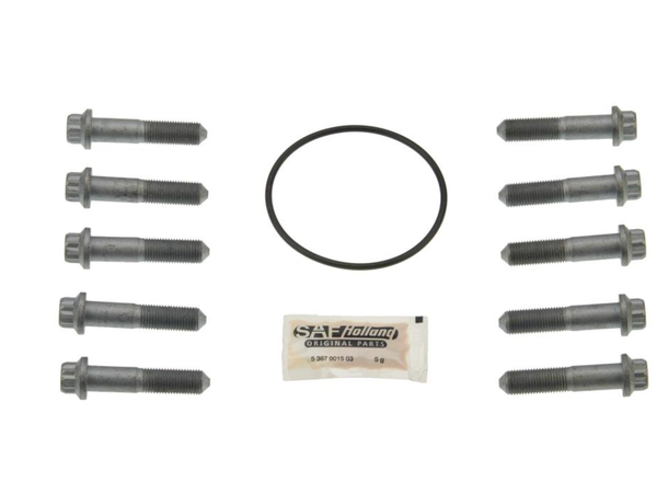 Tilbehør sett Br.skive Skruer/O-Ring/Fet SAF 