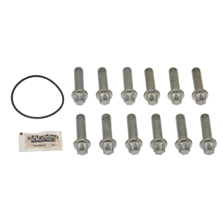 Boltesett Torx E 24 12 stk SAF