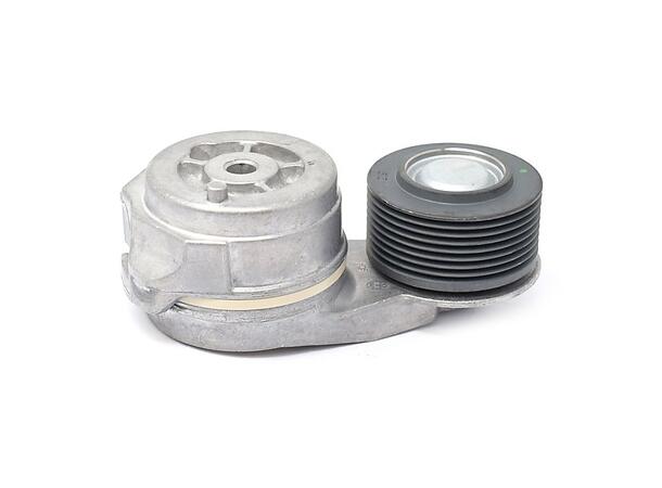 Reimstrammer DAF Dayco 