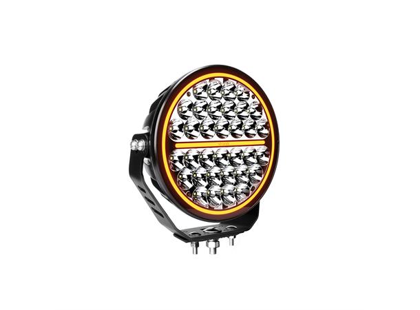 SIBERIA NR 9" Night Ranger Spot Strands 