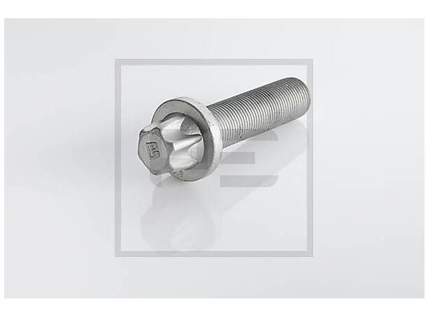 Screw M 18x1,5 x 69 PE Automotive 