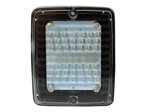 IZE LED BAKLYSLYS LED Strands Lighting Division 
