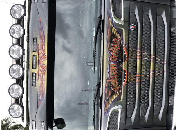 FRITSLA 9" FJERNLYS LED Strands Lighting Division 