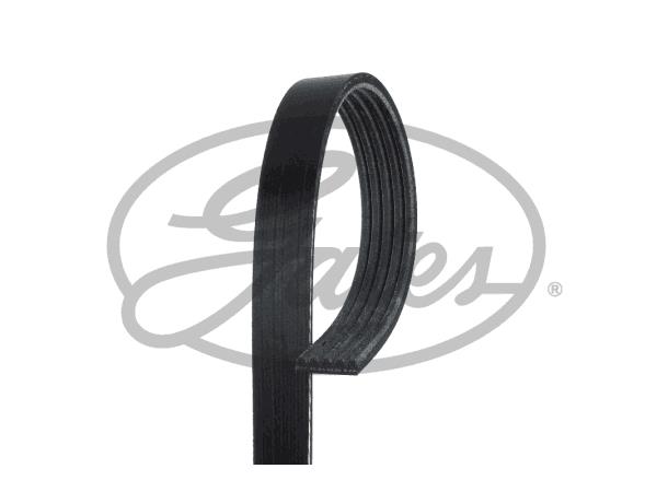 V BELTS 5PK1193 5PK1193 MV                     Gates 