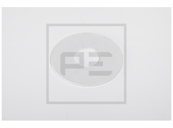 Skive SAF 60,5 x 170 x 4,75 PE Automotive 