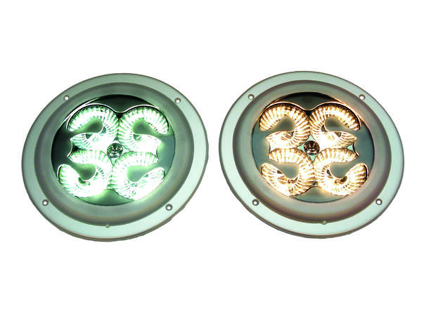 innerbelysning CargoLED 9-31V Kald hvit Hella 