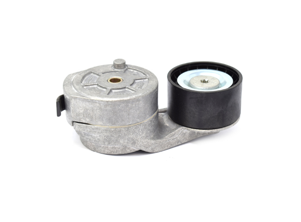 Reimstrammer Scania Dayco 