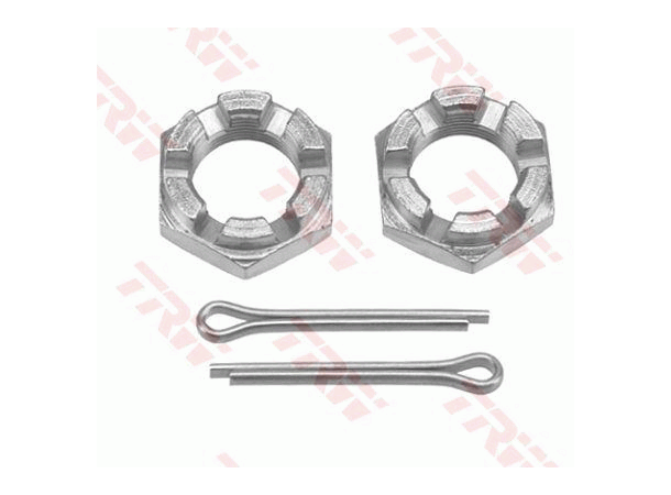 Rod Strut stabiliser PROEQUIP 