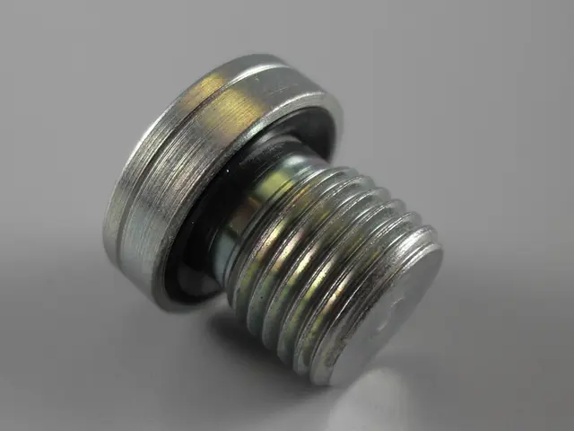 locking screw with inside hexagon socket Bär Cargolift 