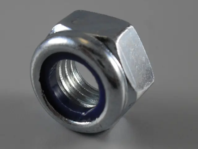 hexagon nut self-locking Bär Cargolift 
