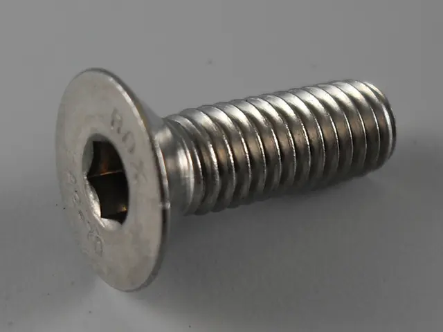 hexagon socket countersunk head screw Bär Cargolift 