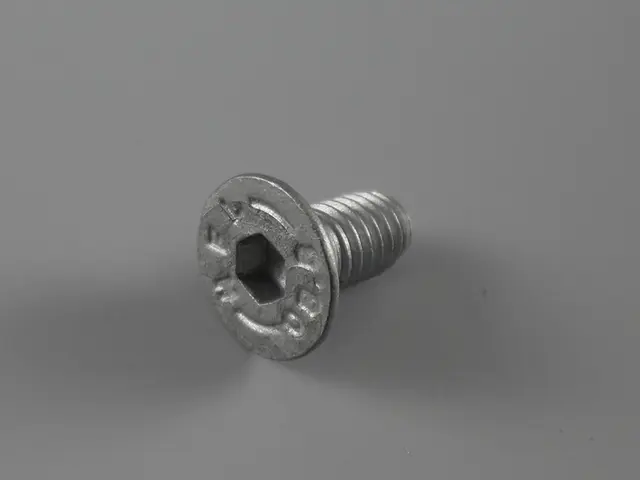 hexagon socket countersunk head screw Bär Cargolift 