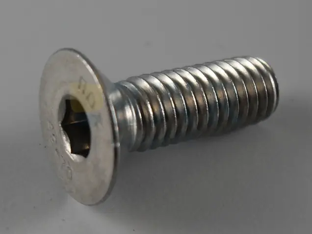 counter sunk screw with hexagon socket Bär Cargolift 