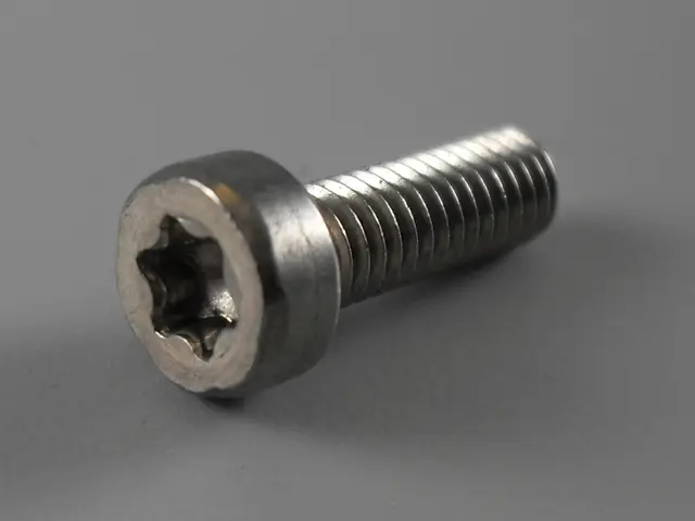 cylinder screw with Innensechsrund Bär Cargolift 