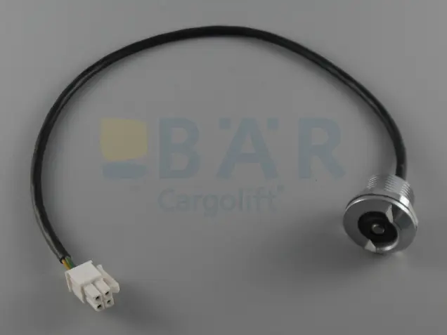 key switch CargoSafe Bär Cargolift 