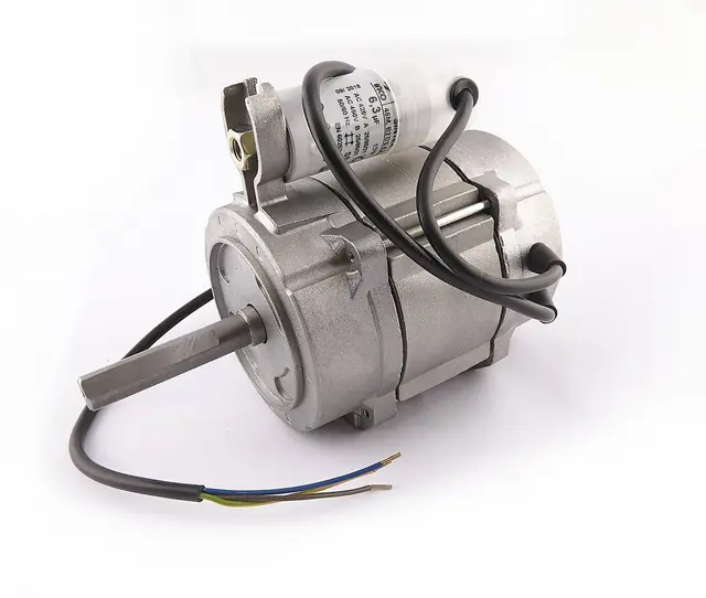 ELECTRIC MOTOR 200W 230/50 OR S01 3 FORI Clas 