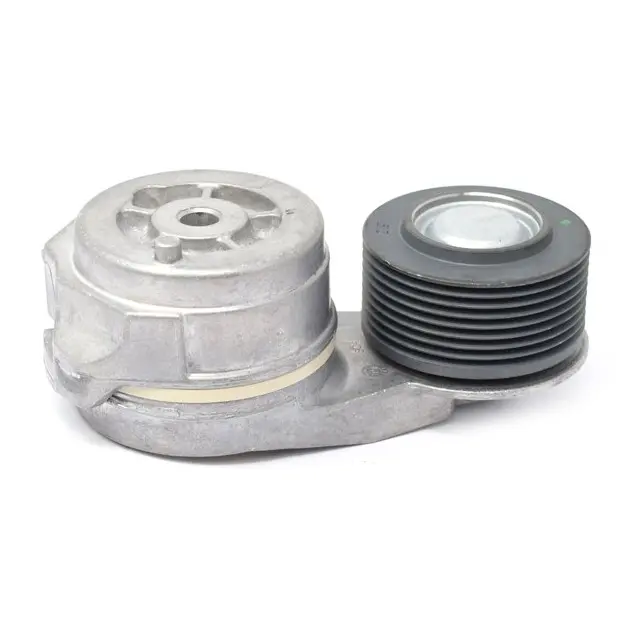 Reimstrammer DAF Dayco 