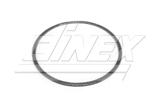 Gasket DINEX 