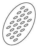 Heat Shield MAN 
