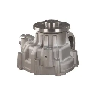 Water Pump m/pakn 