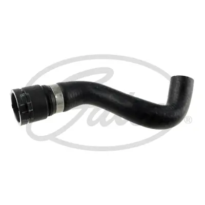 ENGINE HOSES 02-1980 CURVED HOSE Gates 