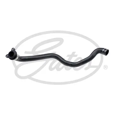 ENGINE HOSES 02-1981 CURVED HOSE Gates 