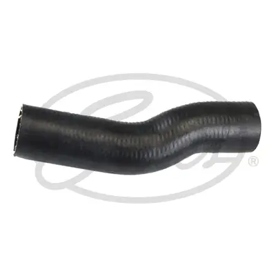 ENGINE HOSES 02-2020 CURVED HOSE Gates 