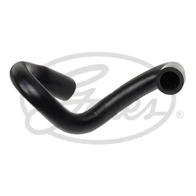 ENGINE HOSES 02-2576 CURVED HOSE Gates 