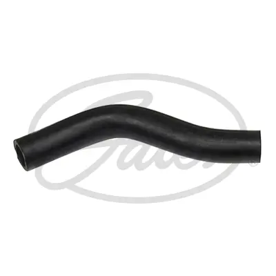 ENGINE HOSES 02-2598 CURVED HOSE Gates 