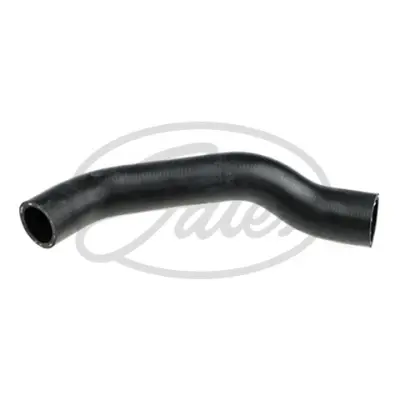ENGINE HOSES 05-2394 CURVED HOSE Gates 