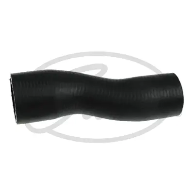 ENGINE HOSES 05-2619 CURVED HOSE Gates 
