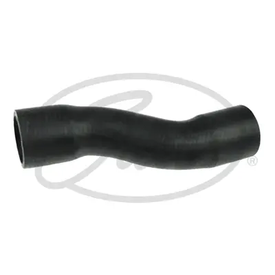 ENGINE HOSES 05-2764 CURVED HOSE Gates 