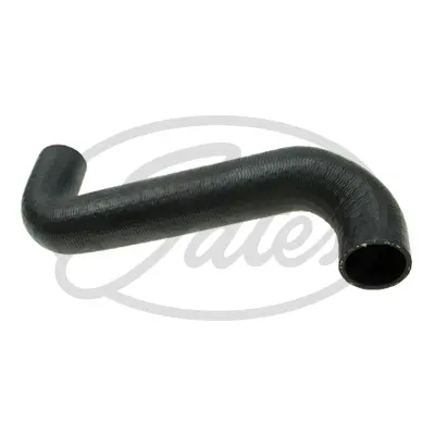 ENGINE HOSES 05-2995 CURVED HOSE Gates 