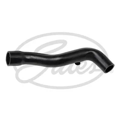 ENGINE HOSES 05-3125 CURVED HOSE Gates 