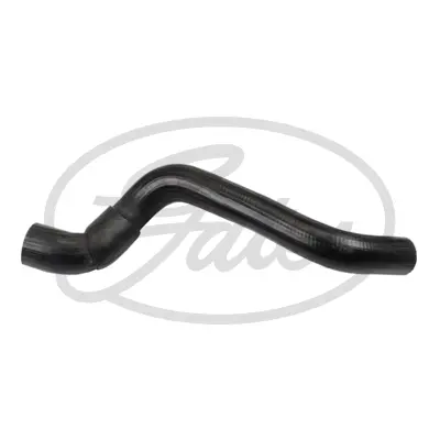 ENGINE HOSES 05-3152 CURVED HOSE Gates 