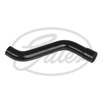 ENGINE HOSES 05-3242 CURVED HOSE Gates 