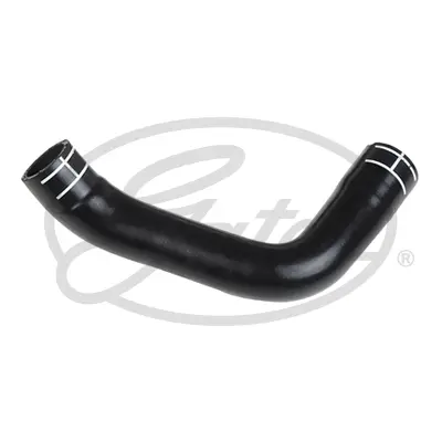 ENGINE HOSES 05-3244 CURVED HOSE Gates 
