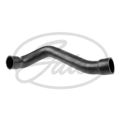 ENGINE HOSES 05-3256 CURVED HOSE Gates 