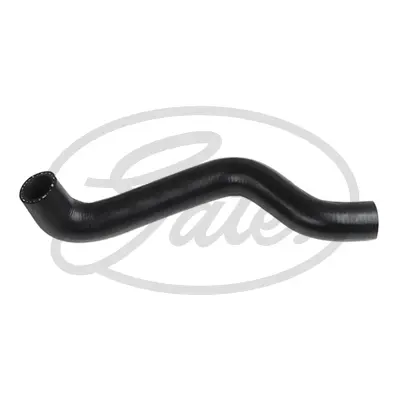 ENGINE HOSES 05-3262 CURVED HOSE Gates 