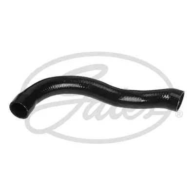 ENGINE HOSES 05-3266 CURVED HOSE Gates 