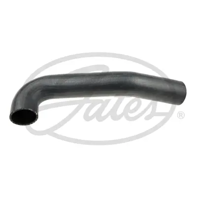 Curved Hose 05-3479 CURVED HOSE 