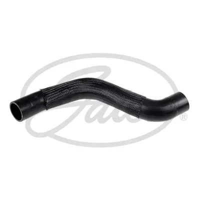 Curved Hose 05-3484 CURVED HOSE 