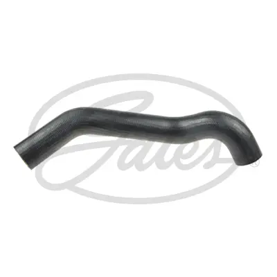 Curved Hose 05-4393 CURVED HOSE 