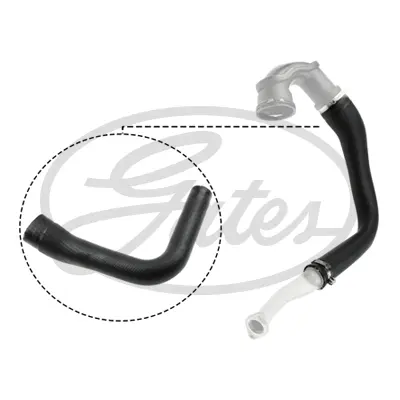 ENGINE HOSES 09-0169 TURBO HOSE Gates 