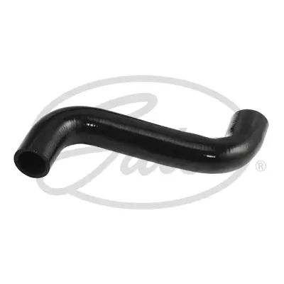 ENGINE HOSES 09-0245 TURBO HOSE Gates 