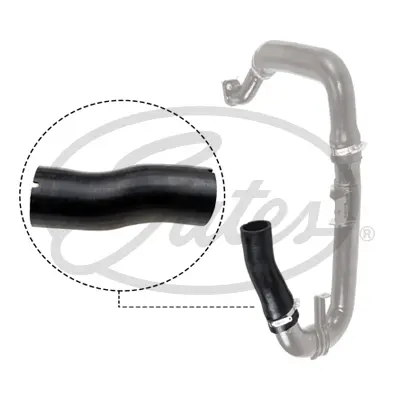 ENGINE HOSES 09-0479 TURBO HOSE Gates 