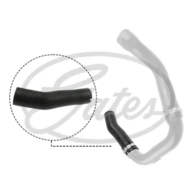 ENGINE HOSES 09-0484 TURBO HOSE Gates 