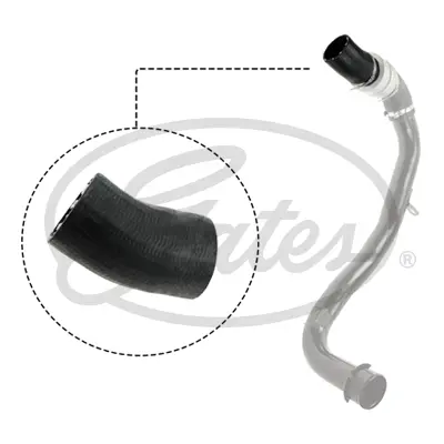ENGINE HOSES 09-0491 TURBO HOSE Gates 